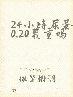 24小时尿蛋白0.20严重吗