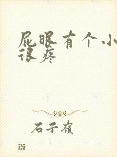 屁眼有个小疙瘩很疼