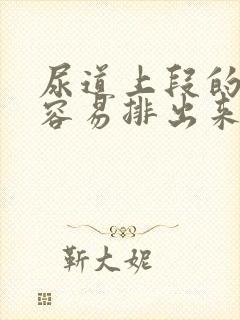 尿道上段的结石容易排出来吗