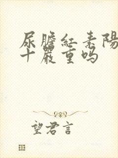 尿胆红素阳性2十严重吗