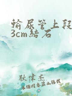输尿管上段1.3cm结石