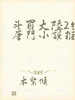 斗罗大陆2绝世唐门小说推荐