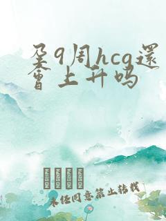 孕9周hcg还会上升吗