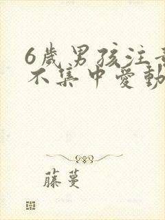 6岁男孩注意力不集中爱动怎么回事