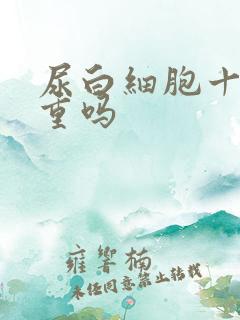 尿白细胞十1严重吗