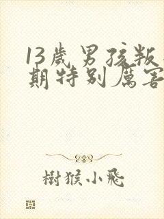 13岁男孩叛逆期特别厉害该怎么办