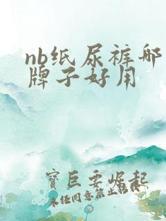 nb纸尿裤哪个牌子好用