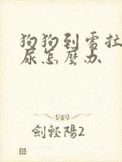 狗狗到处拉屎拉尿怎么办