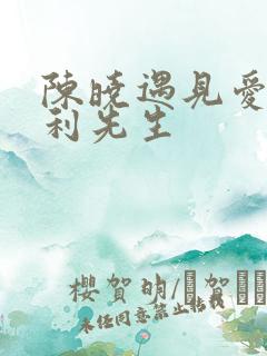 陈晓遇见爱情的利先生