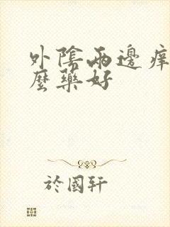 外阴两边痒用什么药好