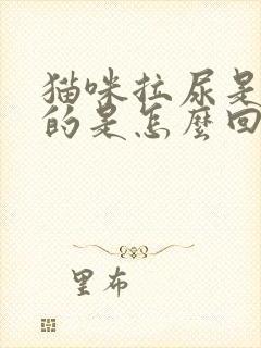 猫咪拉尿是红色的是怎么回事