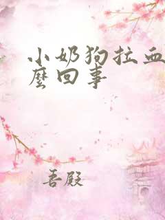 小奶狗拉血便怎么回事