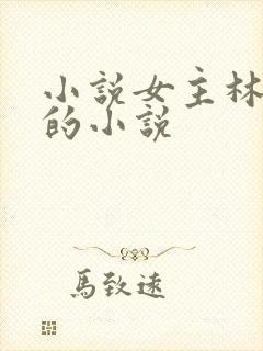 小说女主林晚意的小说