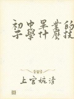 初中毕业的男孩子学什么技术好