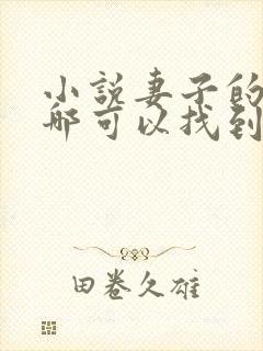 小说妻子的背叛哪可以找到