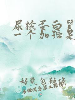 尿检蛋白质阳性一个加号是怎么回事