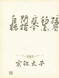 自闭症的孩子不听指令怎么办