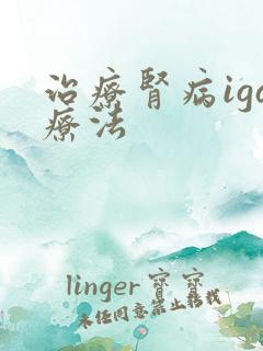 治疗肾病iga疗法