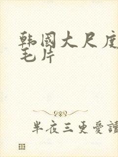 韩国大尺度伦理毛片