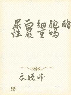 尿白细胞酯酶阳性严重吗