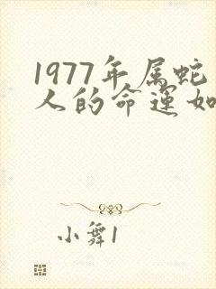 1977年属蛇人的命运如何