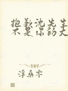 抱歉沈先生孩子不是你的大结局免费观看