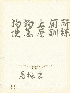 狗狗上厕所大小便怎么训练