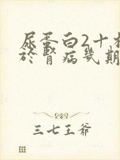 尿蛋白2十相当于肾病几期