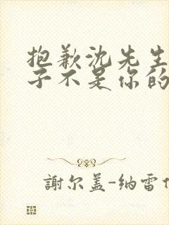 抱歉沈先生,孩子不是你的免费观看短剧