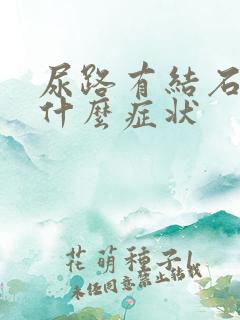 尿路有结石有些什么症状