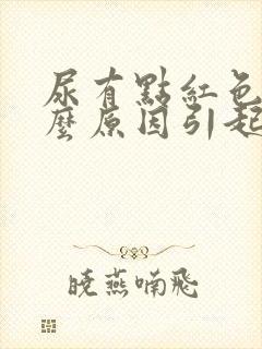 尿有点红色是什么原因引起的