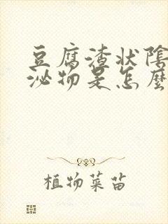 豆腐渣状阴道分泌物是怎么回事