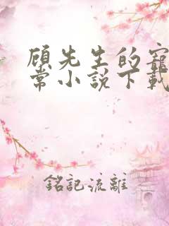 顾先生的宠妻日常小说下载