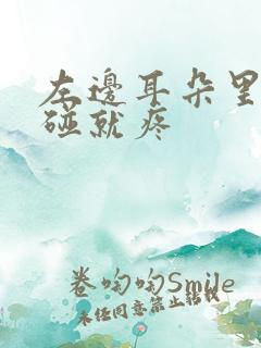 左边耳朵里面一碰就疼