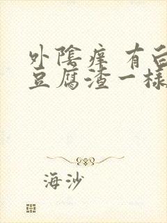 外阴痒 有白色豆腐渣一样的东西