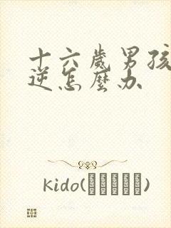 十六岁男孩子叛逆怎么办