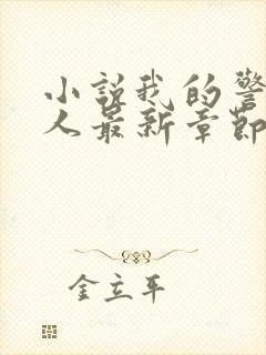 小说我的警花大人最新章节