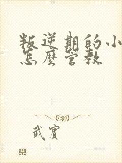 叛逆期的小男孩怎么管教