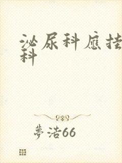 泌尿科应挂什么科