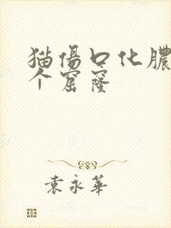 猫伤口化脓成一个窟窿