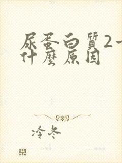 尿蛋白质2十是什么原因