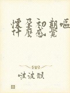 怀孕初期呕吐是什么感觉