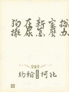 狗在新家总是乱撒尿怎么办