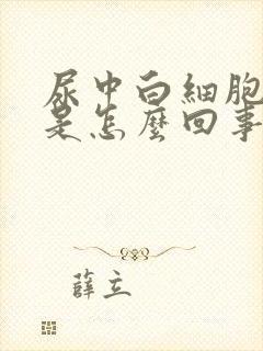 尿中白细胞阳性是怎么回事