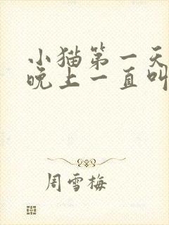 小猫第一天到家晚上一直叫怎么回事