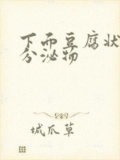 下面豆腐状白色分泌物