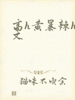 高h黄暴辣h全文