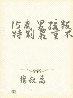 15岁男孩叛逆特别严重不回家怎么办