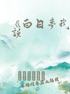 《白日梦我》小说