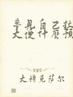 梦见自己拉黄色大便什么预兆